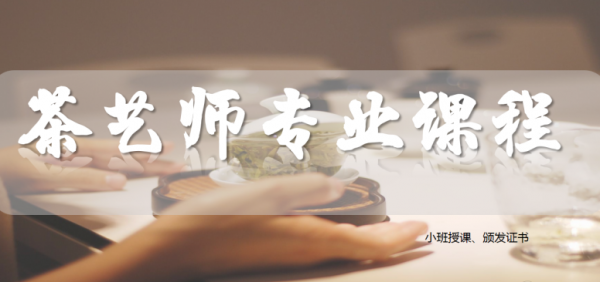 宁波专业茶艺师培训课程