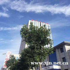 JAVA高薪企业人才定制班