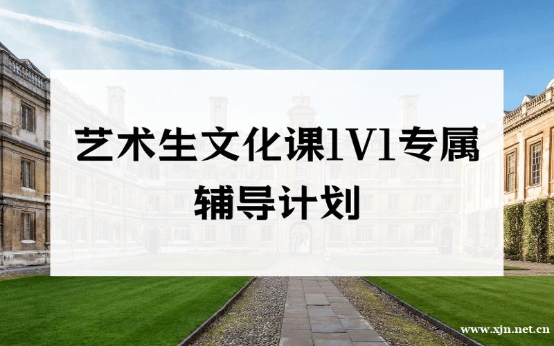 北京艺术生文化课1V1专属辅导计划