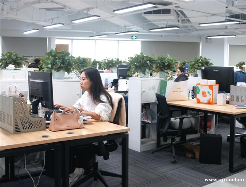 数据挖掘与商业分析线上培训班