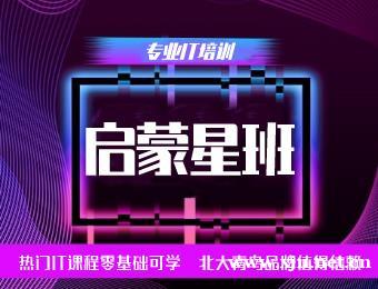 南京北大青鸟IT启蒙星班