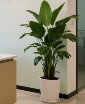 环境是怎么改变你的，你就能同样改变自己